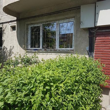 Apartamente Marian 布拉索夫 客房 照片
