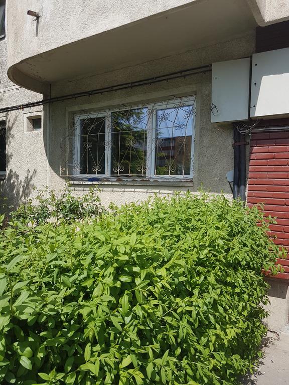 Apartamente Marian 布拉索夫 客房 照片